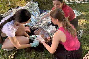 Zväčšiť fotografiu - Súťaž prvej pomoci v odbore praktická sestra